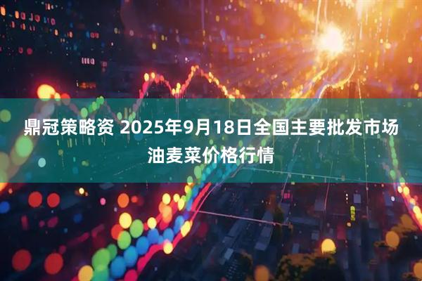 鼎冠策略资 2025年9月18日全国主要批发市场油麦菜价格行情