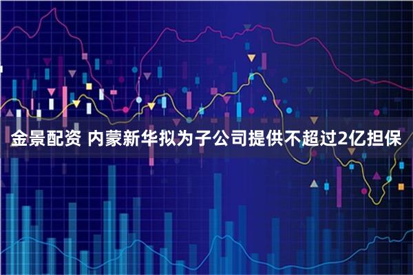 金景配资 内蒙新华拟为子公司提供不超过2亿担保