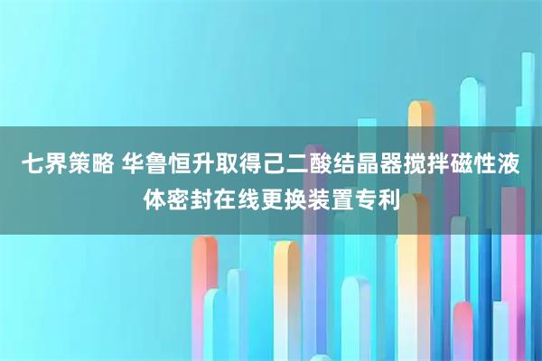 七界策略 华鲁恒升取得己二酸结晶器搅拌磁性液体密封在线更换装置专利
