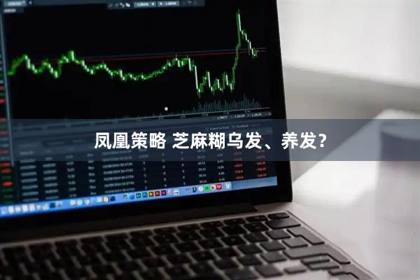 凤凰策略 芝麻糊乌发、养发?